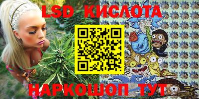 ALPHA PVP Гатчина