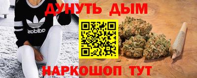 ALPHA PVP Гатчина
